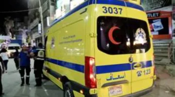 تسجيل أسماء: إصابة 7 عمال نتيجة حادث مرور في المنيا الجديدة