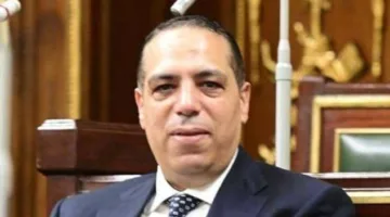 نائب برلماني: تعليمات الرئيس لتهيئة بيئة الاستثمار تعكس رؤية متكاملة لبناء اقتصاد تنافسي وتحقيق تنمية مستدامة