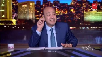 محامي نوال الدجوي: هناك جهود خارجية لتعطيل جلسات التفاوض والتسوية بين الطرفين.