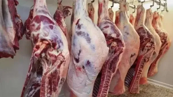 الوادي الجديد تعرض لحوم محلية بسعر 280 جنيها للكيلو الوادي الجديد تعرض لحوم محلية بسعر 280 جنيها للكيلو