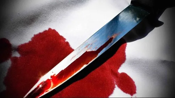 إحالة سائق قام بطعن زميله في عزبة النخل إلى محكمة الجنايات إحالة سائق قام بطعن زميله في عزبة النخل إلى محكمة الجنايات