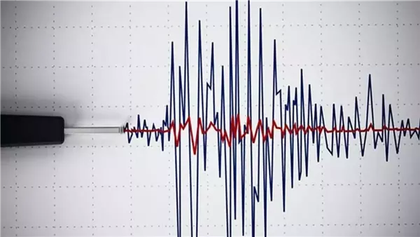 عاجل| توضيح مهم من المعهد القومي للبحوث الفلكية حول أسباب تكرار الهزات الأرضية في الجيزة عاجل| توضيح مهم من المعهد القومي للبحوث الفلكية حول أسباب تكرار الهزات الأرضية في الجيزة