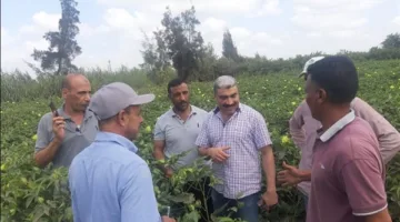 ندوات حقلية تستند إلى أسس علمية تقدم للمزارعين في الصعيد أدوات زراعية حديثة