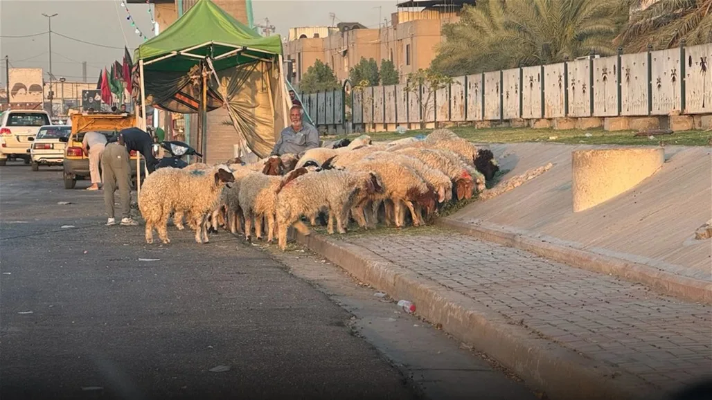 إجراءات صحية صارمة قبل عيد الأضحى في العراق إجراءات صحية صارمة قبل عيد الأضحى في العراق