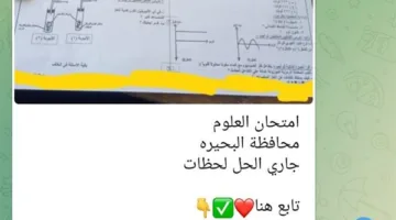 صور: تسريب امتحان مادة العلوم للشهادة الإعدادية في الجيزة عبر صفحات «شاومينج»