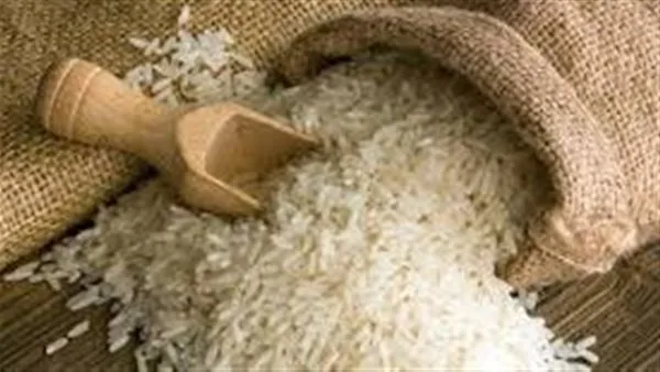 أسعار طن الأرز البني اليوم الثلاثاء 3 مايو 2025
