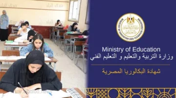 تمنح القدرة على الاختيار.. معلومات حول تطبيق نظام البكالوريا للطلاب