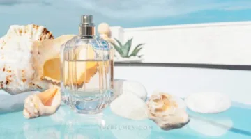 عطور صيفية تجسد اللحظات: دليل اختيار العطر المثالي لإطلالتك الصيفية