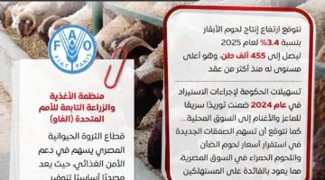 جهود شاملة لتأمين الأضاحي واللحوم بأسعار معقولة لتلبية احتياجات المواطنين