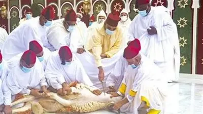 ليس بالأمر الجديد.. دوافع إلغاء الملك المغربي لشعيرة الأضحية في عيد الأضحى ليس بالأمر الجديد.. دوافع إلغاء الملك المغربي لشعيرة الأضحية في عيد الأضحى