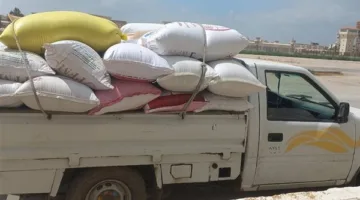 توريد 300 ألف طن من القمح إلى صوامع وشون محافظة البحيرة