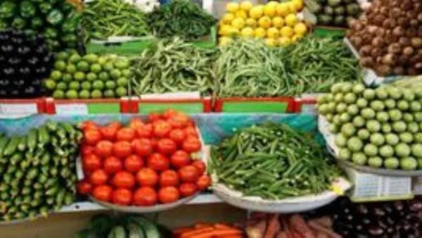 أسعار البصل والخضروات في الأسواق بتاريخ 3 يونيو 2025