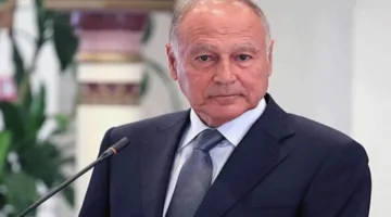 أبو الغيط يشدد على أهمية تعزيز العلاقات بين الجامعة العربية والهند