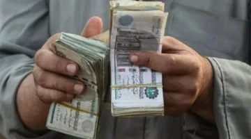 تاريخ صرف رواتب يونيو 2025.. معلومات عن الزيادة المتوقعة وكيفية الاستعلام إلكترونيًا