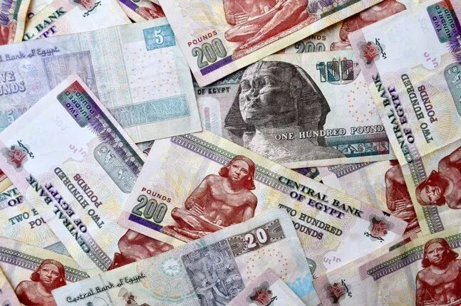 بنك مصر والبنك الأهلي يقدمان خدمات إصدار شهادات الادخار بمختلف الأنواع خلال عطلة عيد الأضحى.