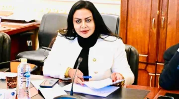 نائب برلماني يشرح فوائد توجيهات الرئيس السيسي في stabilizing أسعار السلع وضمان توفرها.