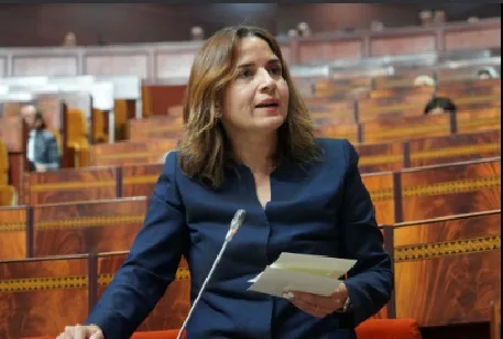 المغرب يعلن عن خطة جديدة للبيئة والتنمية المستدامة حتى عام 2035