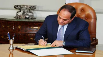 عاجل .. إعلان رئاسي بتخصيص أرض في قنا لإنشاء مشروع للطاقة الشمسية