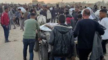 الصليب الأحمر يُعلن مقتل 27 فردًا نتيجة إطلاق نار بالقرب من مركز توزيع المساعدات في جنوب غزة، والأمم المتحدة تُدين، والبيت الأبيض يُجري تحقيقًا.