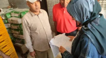 مصادرة 8 أطنان من الدواجن غير الصالحة للاستهلاك في القليوبية خلال حملة بقيادة نائب المحافظ
