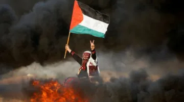 مشروع قرار من الجزائر في مجلس الأمن لوقف إطلاق النار في غزة.. منصور: لن نقبل بتعطيل منظمات الأمم المتحدة