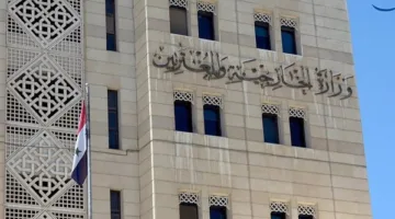 وزارة الخارجية السورية تعبر عن إدانتها للقصف الإسرائيلي على قرى ومدن محافظة درعا (فيديو)