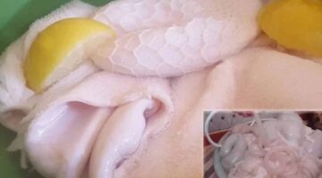 ماذا يحدث عندما تُنظف الكرشة باستخدام بيكربونات الصوديوم؟ النتائج ستدهشك.