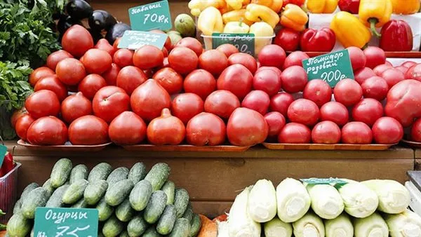 استقرار أسعار الخضروات والفواكه في أسواق البحيرة استقرار أسعار الخضروات والفواكه في أسواق البحيرة