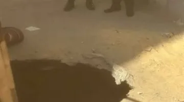 تقرير اللجنة الثلاثية الثانية حول الحفر تحت قصر ثقافة الأقصر يأتي مطابقًا لنتائج اللجنة الأولى بتنسيق (L).