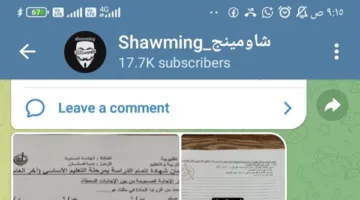 نشر امتحانات الشهادة الإعدادية في عدد من المحافظات عبر «شاومينج» في اليوم الأخير