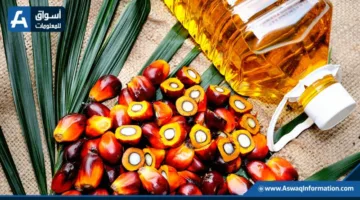 تراجع أسعار العقود المستقبلية لزيت النخيل الماليزي في ظل توقعات بزيادة المخزونات