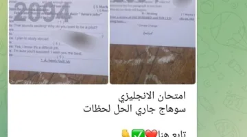 تعديل في استراتيجية «شاومينج» في سوهاج: نشر إجابات امتحان اللغة الإنجليزية قبل تسريب الأسئلة