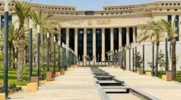 المركزي: ارتفاع غير مسبوق في تحويلات المصريين المغتربين تصل إلى حوالي 26.4 مليار دولار خلال الفترة من يوليو إلى مارس 2024/2025