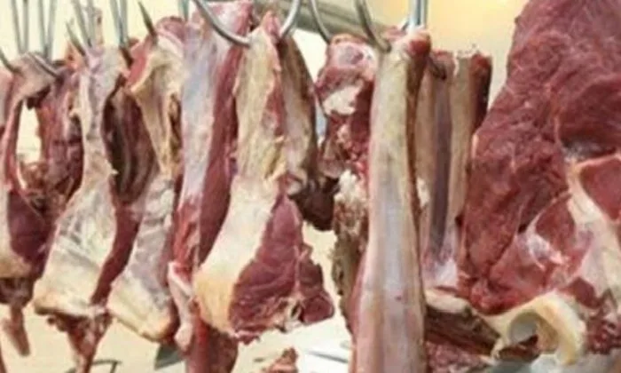 ضبط 539 كيلو من اللحوم المذبوحة خارج المجازر وغير الصالحة للاستهلاك خلال حملات لمديرية الطب البيطري في البحيرة ضبط 539 كيلو من اللحوم المذبوحة خارج المجازر وغير الصالحة للاستهلاك خلال حملات لمديرية الطب البيطري في البحيرة