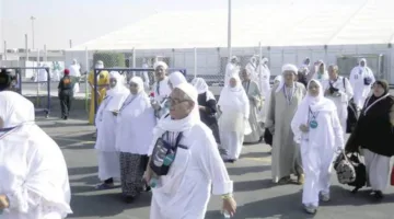 بدء تصعيد حجاج القرعة إلى عرفات لأداء الركن الأساسي في مناسك الحج