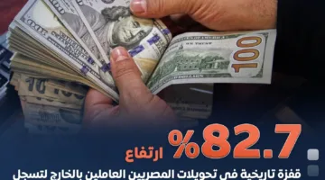 عاجل.. تحويلات المصريين المغتربين تسجل زيادة هائلة بنسبة 82.7 %