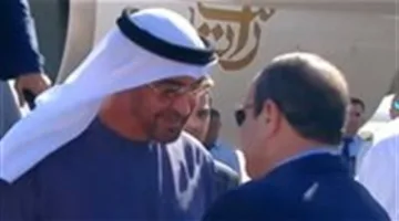الرئيسان السيسي وبن زايد يسلطان الضوء على أهمية توفير المساعدات الإنسانية لغزة بالكمية المطلوبة