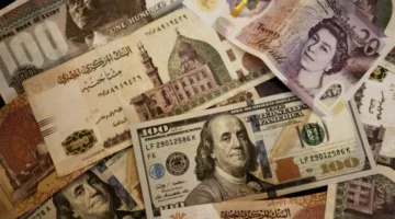 البنك المركزي: صافي احتياطي النقد الأجنبي في مصر يبلغ 48.526 مليار دولار بنهاية مايو