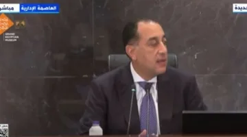 مدبولي: الحكومة تعمل على زيادة مواردها من العملات الأجنبية لتلبية احتياجاتها المستقبلية.