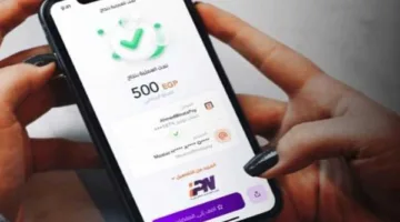 عطل غير متوقع يؤثر على تطبيق إنستاباي ويتسبب في تعليق التحويلات.