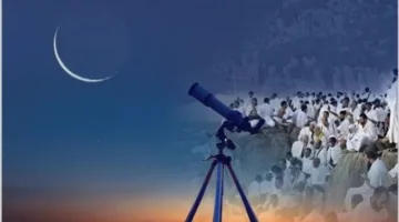 أسعار الأضاحي الحية في مراكز وزارة التموين لعام 2025 بالقاهرة والجيزة