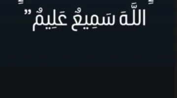 إعلان طلاق عمر زوربا من زوجته أسيل زلط يثير دهشة الجمهور