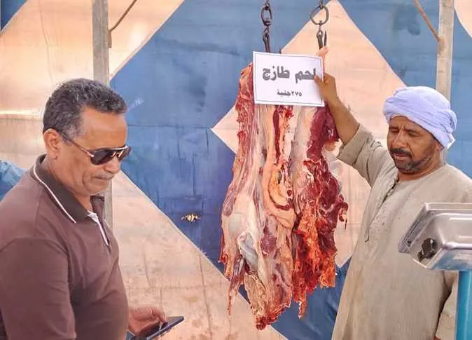 ما هو سعر اللحم؟… تقييم أسعار اللحوم الحمراء في الوادي الجديد ما هو سعر اللحم؟… تقييم أسعار اللحوم الحمراء في الوادي الجديد
