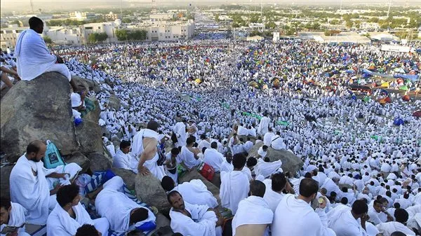 وقفات عرفة: يوم مميز للعالم الإسلامي.. خالد أبو بكر يثني على تنظيم السعودية لموسم الحج وقفات عرفة: يوم مميز للعالم الإسلامي.. خالد أبو بكر يثني على تنظيم السعودية لموسم الحج