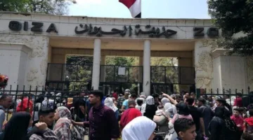 رسميًا.. موعد إعادة افتتاح حديقة الحيوان بالجيزة بعد فترة إغلاق دامت 18 شهرًا