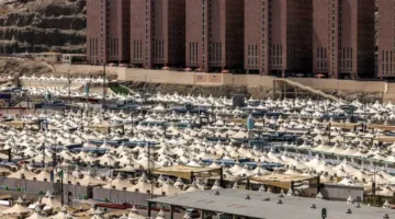 نقل الحجاج إلى عرفات لأداء الركن الأساسي من الحج مع تحذيرات من التعرض لأشعة الشمس
