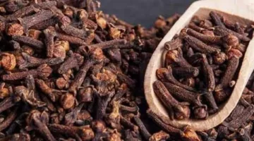 فوائد مذهلة: كيف يؤثر استهلاك القرنفل على جسمك؟