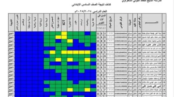 تهانينا! نتائج الصف السادس الابتدائي 2025 متاحة الآن في جميع المحافظات.. رابط الاستعلام عنها