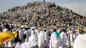 وصول حجاج بيت الله إلى مشعر عرفات: الأهمية الكبرى في النقل المباشر!