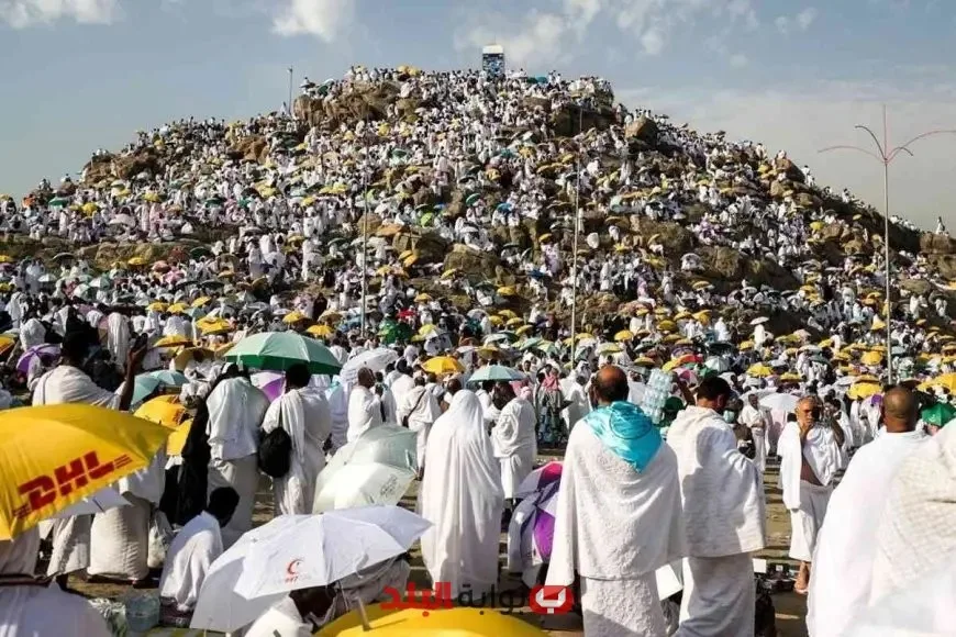 وصول حجاج بيت الله إلى مشعر عرفات: الأهمية الكبرى في النقل المباشر!